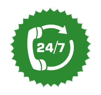 a1